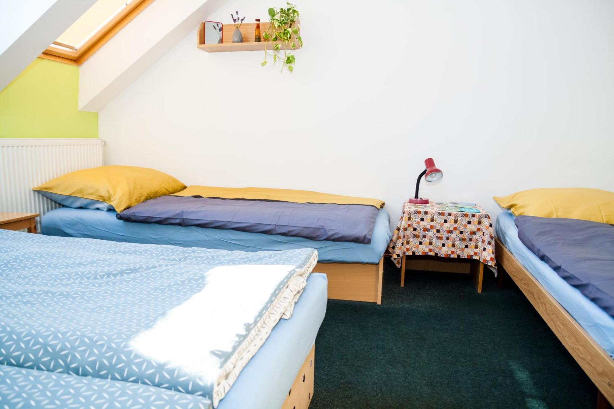 Turisticka Ubytovna Cakle Ústí nad Orlicí 部屋 写真