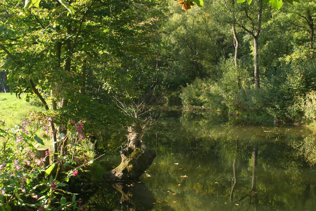 Turisticka Ubytovna Cakle Ústí nad Orlicí エクステリア 写真